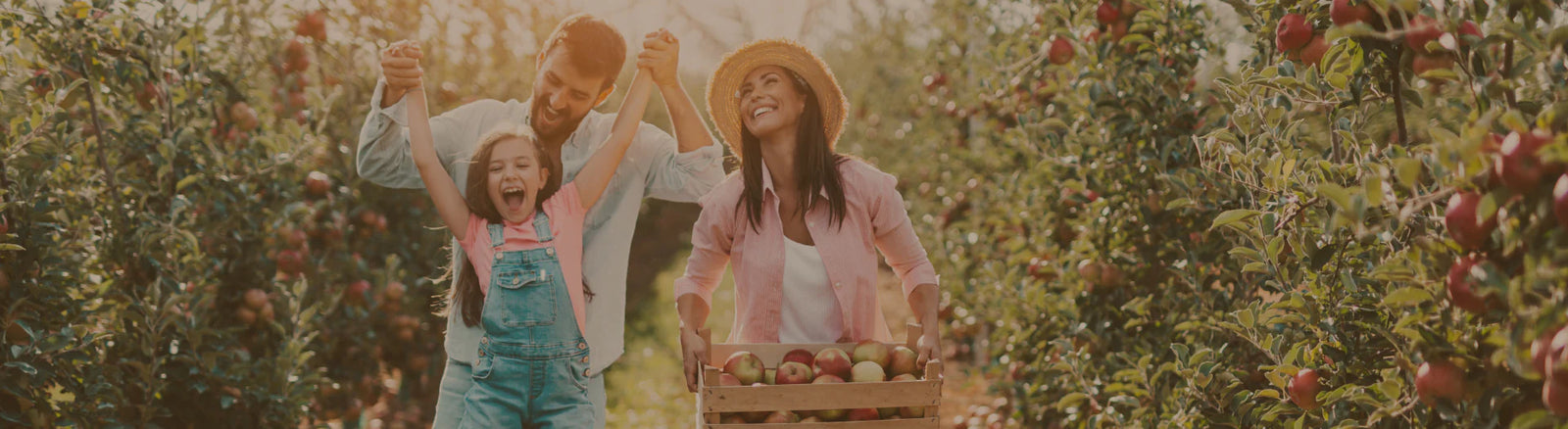 Planning a Fun Fall Weekend That Makes the Most of Your Apples